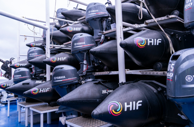 Latest updates Haru Oni 08