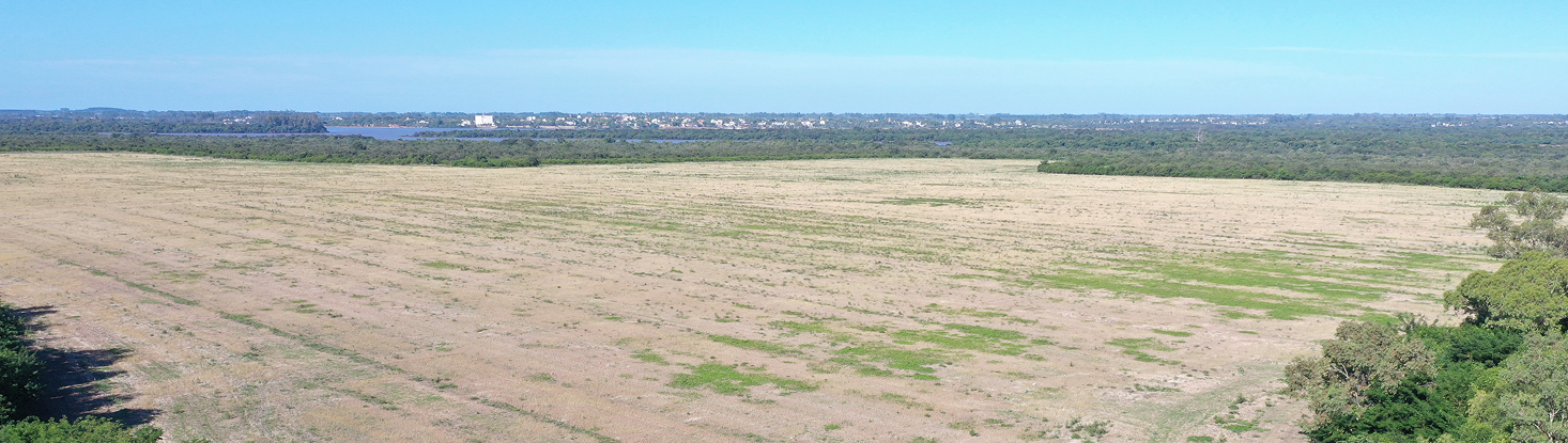 Banner HIF Paysandú