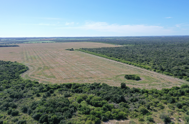 Project updates Paysandú 04